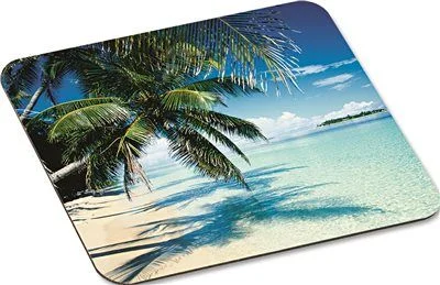 Track lighting for modernizing traditional interiors3M Scenic Foam Mouse Pad Nonskid Back 9" X 8" Tropical Beach Design