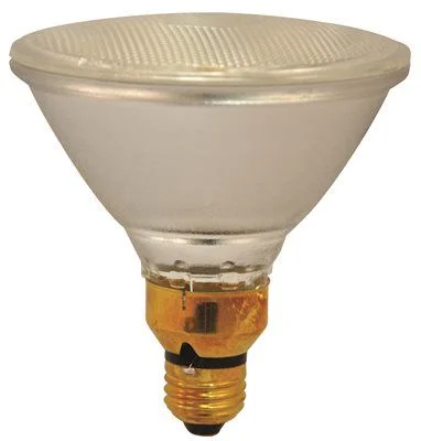 Track lighting for task lighting in workshopsIndoor And Outdoor Par 38 Halogen Par Lamp 90 Watt 120 Volt Track lighting for task lighting in workshopsIndoor And Outdoor Par 38 Halogen Par Lamp 90 Watt 120 Volt