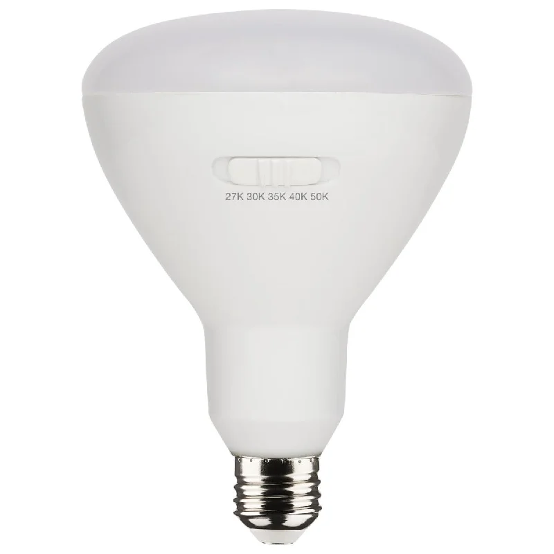 Industrial Lighting for Printing Press FacilitiesR40/BR40 LED Bulb, 13 Watts, 1075 Lumens, 27K|30K|40K|50K, E26 Base, 100° Flood, 4 Pack