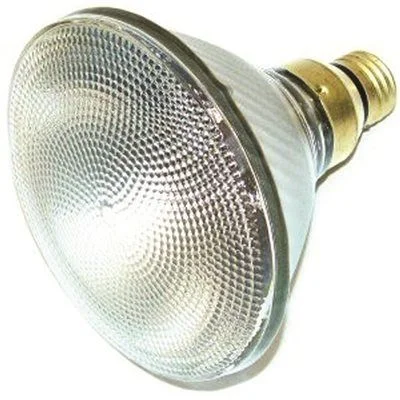 Commercial - grade track lighting for storesSylvania Tungsten Halogen Par38 Reflector Lamp Medium Skirt Base Narrow Flood Beam 60 Watt 120 Volt 60Par38Halnfl25 120V Commercial - grade track lighting for storesSylvania Tungsten Halogen Par38 Reflector Lamp Medium Skirt Base Narrow Flood Beam 60 Watt 120 Volt 60Par38Halnfl25 120V