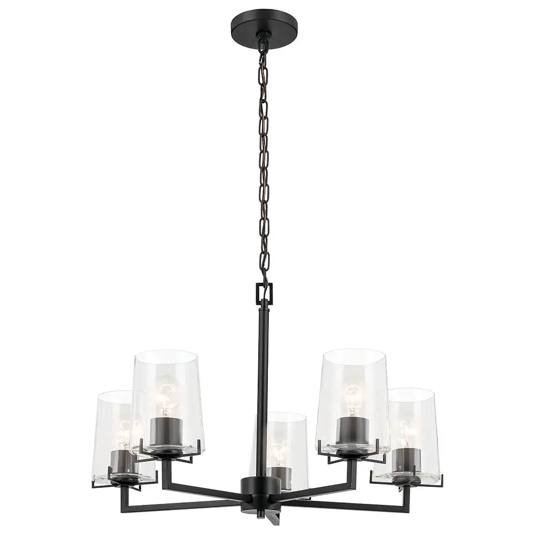 Track lighting for retail window displaysBirk 5-Light Chandelier