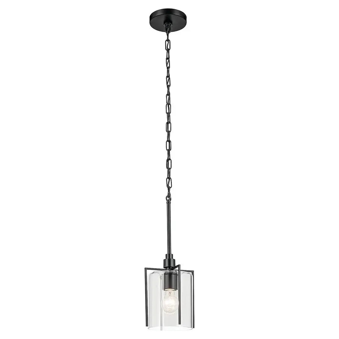 Track lighting with clear glass shadesBirk 1-Light Mini Pendant