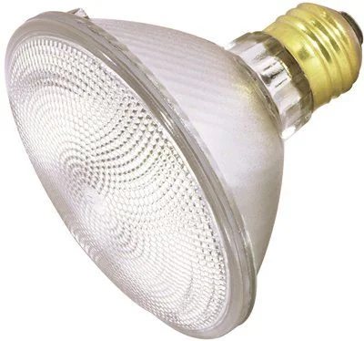 Track lighting for photography studiosSatco 75 Watt Par 30 130 Volt Medium Base Halogen Lamp 75Par30/Cap/Fl Track lighting for photography studiosSatco 75 Watt Par 30 130 Volt Medium Base Halogen Lamp 75Par30/Cap/Fl