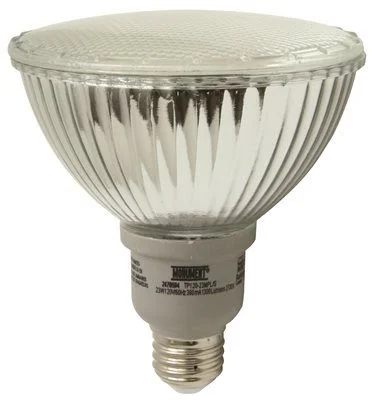 Modern track lighting with LED bulbsFlood Lamp Par38 23 Watt 2700K 2 Per Pack