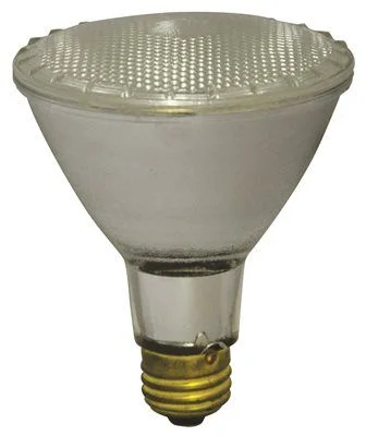 Track lighting with a sleek profilePar 30 Halogen Par Lamp