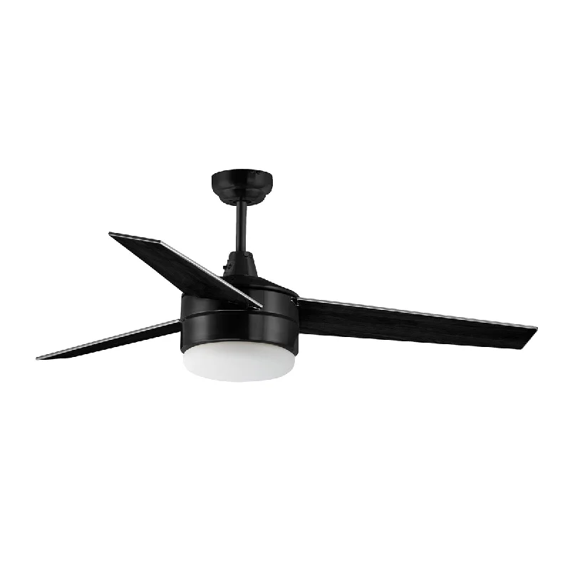 Durable Industrial Lighting for Harsh EnvironmentsTrio 52 Inch LED 2-Light Ceiling Fan with Wall Control, Black Durable Industrial Lighting for Harsh EnvironmentsTrio 52 Inch LED 2-Light Ceiling Fan with Wall Control, Black
