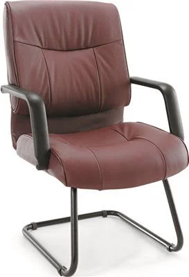 Track lighting for highlighting bookcasesStratus Series Leather Guest Chair Burgundy Track lighting for highlighting bookcasesStratus Series Leather Guest Chair Burgundy