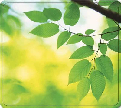 Track lighting with a minimalist track designRecycled Mouse Pad Nonskid Base 7-1/2 X 9 Leaves