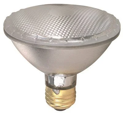 Track lighting for illuminating dining tablesIndoor And Outdoor Par 30 Halogen Par Lamp Track lighting for illuminating dining tablesIndoor And Outdoor Par 30 Halogen Par Lamp