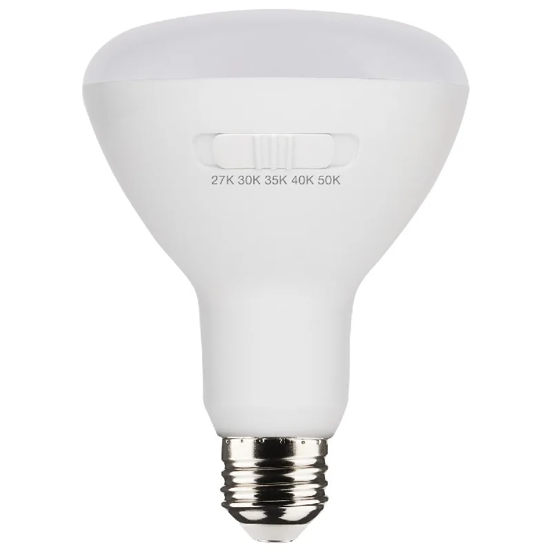 Industrial Flood Lighting for Outdoor Loading DocksR30/BR30 LED Bulb, 9 Watts, 700 Lumens, 27K|30K|40K|50K, E26 Base, 100° Flood, 6 Pack Industrial Flood Lighting for Outdoor Loading DocksR30/BR30 LED Bulb, 9 Watts, 700 Lumens, 27K|30K|40K|50K, E26 Base, 100° Flood, 6 Pack