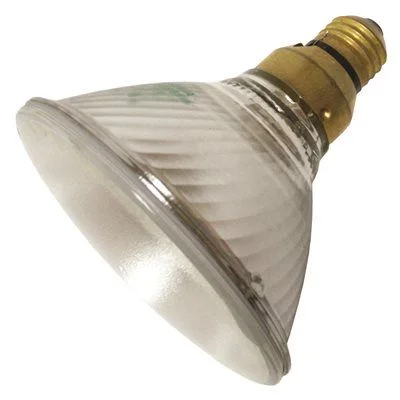 Track lighting for rental propertiesSylvania Tungsten Halogen Par38 Reflector Lamp Medium Skirt Base Spot Beam 60 Watt 130 Volt 60Par38Halsp9 130V Track lighting for rental propertiesSylvania Tungsten Halogen Par38 Reflector Lamp Medium Skirt Base Spot Beam 60 Watt 130 Volt 60Par38Halsp9 130V