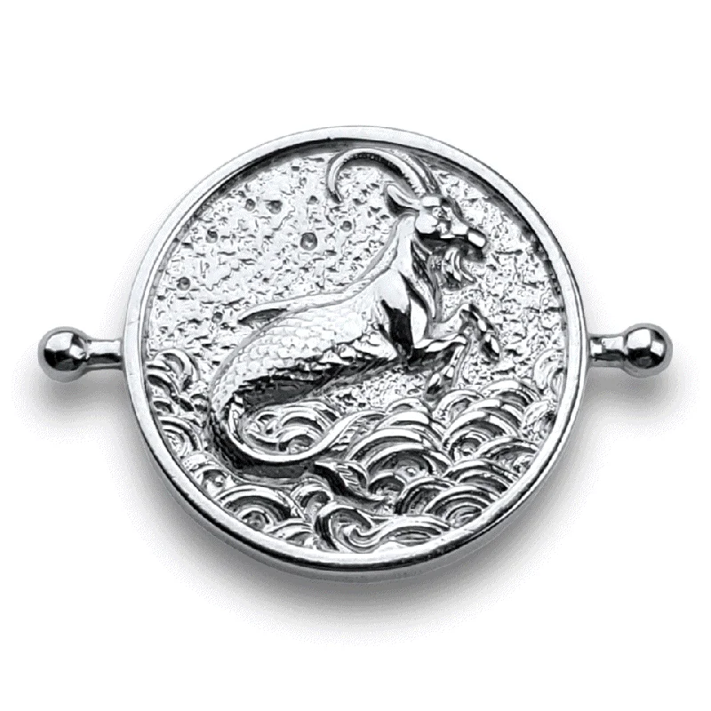 silver / Capricorn